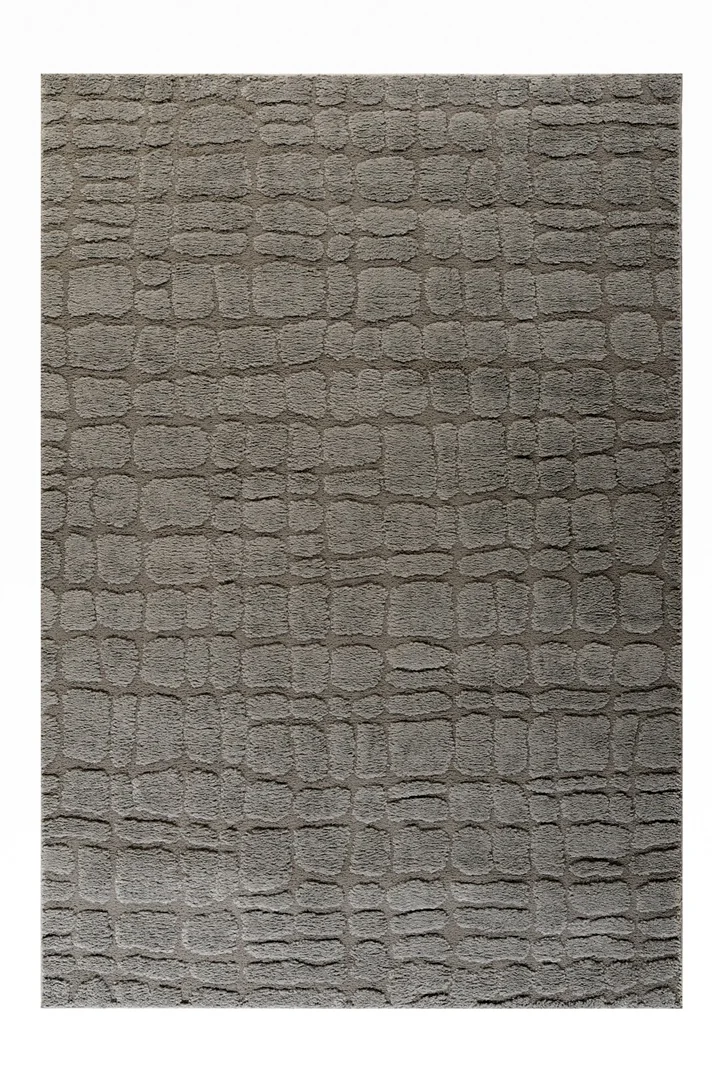 Μονόχρωμο Χειμερινο Χαλί ALLOY 00013-106