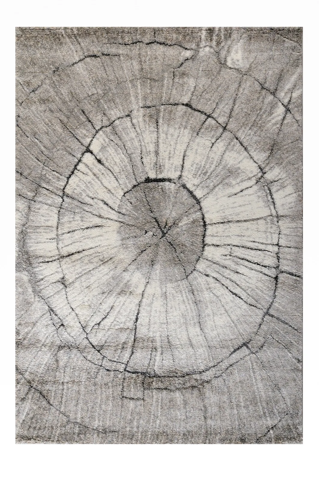 Μοντέρνο Χειμερινό Χαλί DORADO 71717-295