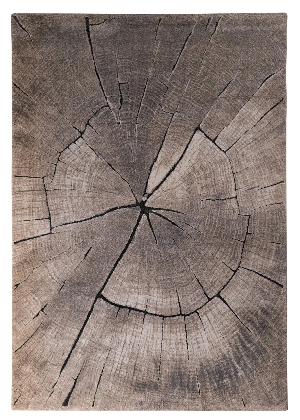 Μοντέρνο Χειμερινό Χαλί DORIAN 77461-370