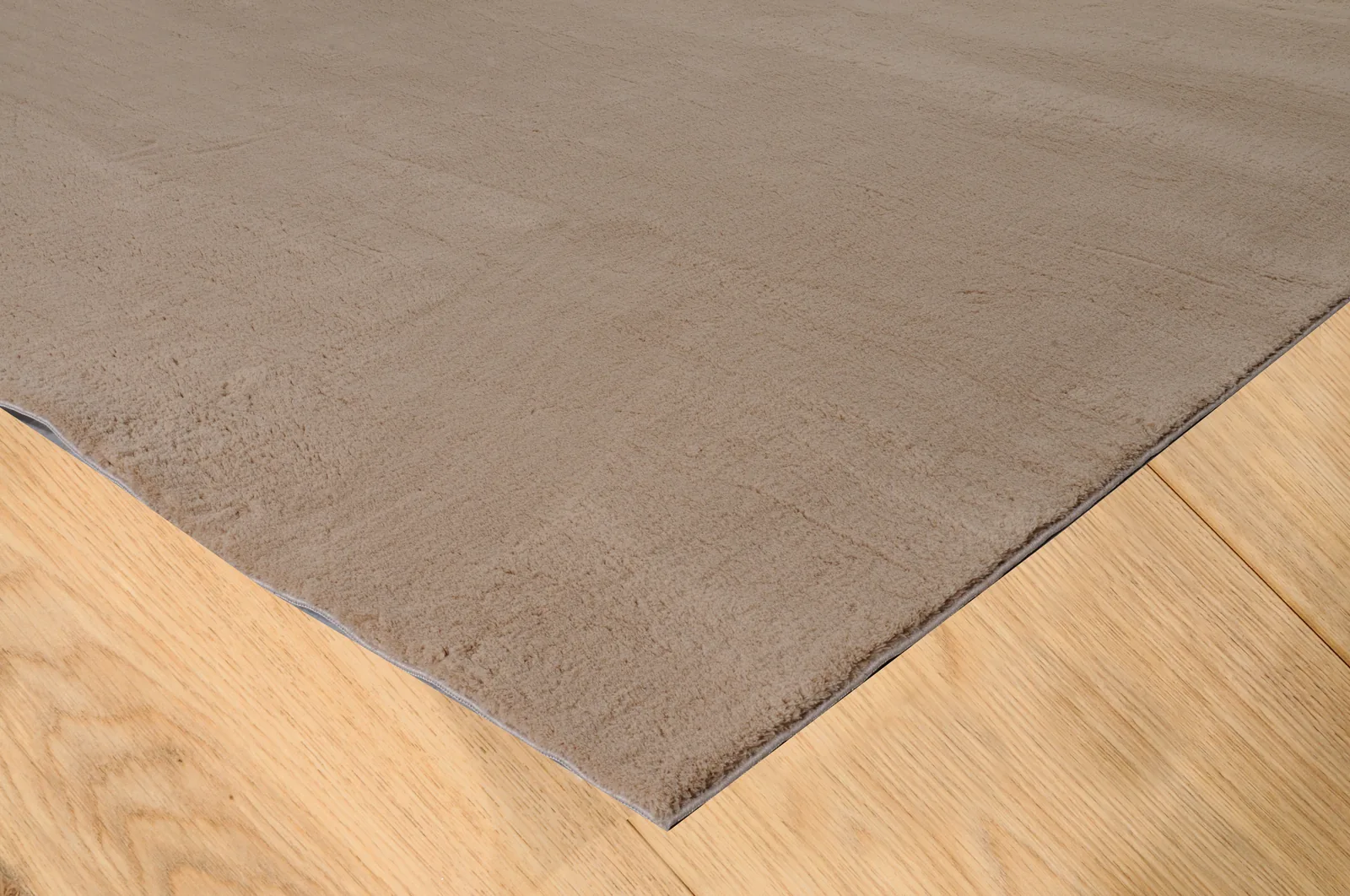 Μονόχρωμο Χειμερινο Χαλί MELIA 25171-004