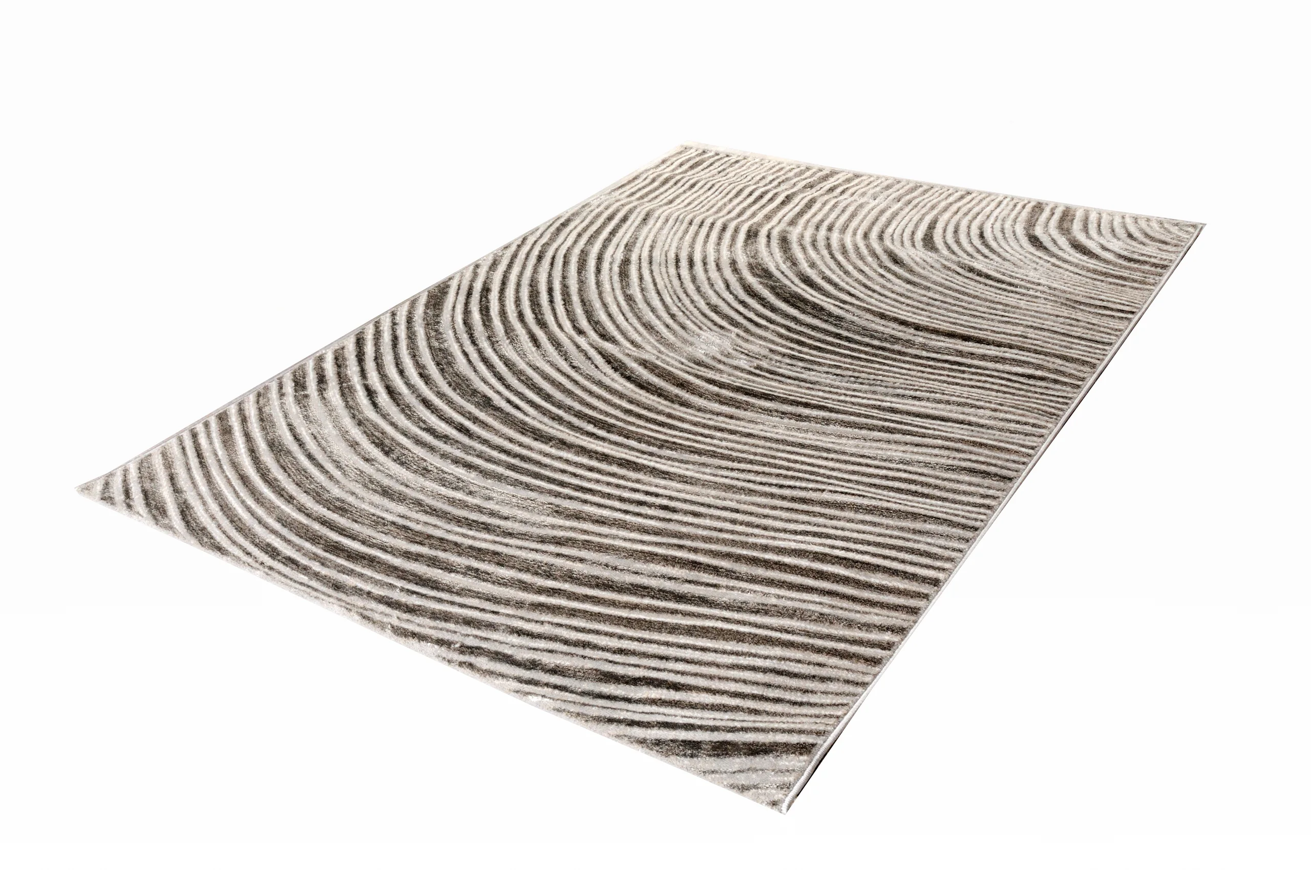 Μοντέρνο Χειμερινό Χαλί MENDEZ 45003-101