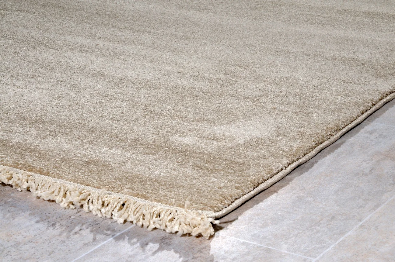 Μονόχρωμο Χειμερινο Χαλί PARMA 19403-161