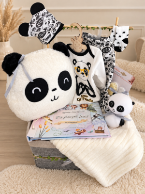 Βρεφικό Καλάθι Δώρου Little Panda με Φωτιστικό & Άλμπουμ Αναμνήσεων